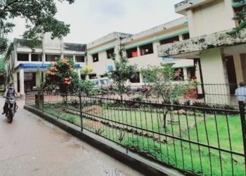কলাপাড়ায় আবারো বেড়েছে ডেঙ্গুর প্রকোপ