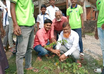 রাঙ্গাবালীতে বিভিন্ন প্রতিষ্ঠানে বিভিডিএস সংগঠনের বৃক্ষরোপণ