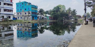 পরিস্কারের পর প্রাণ ফিরেছে পটুয়াখালী টিবি ক্লিনিক পুকুর