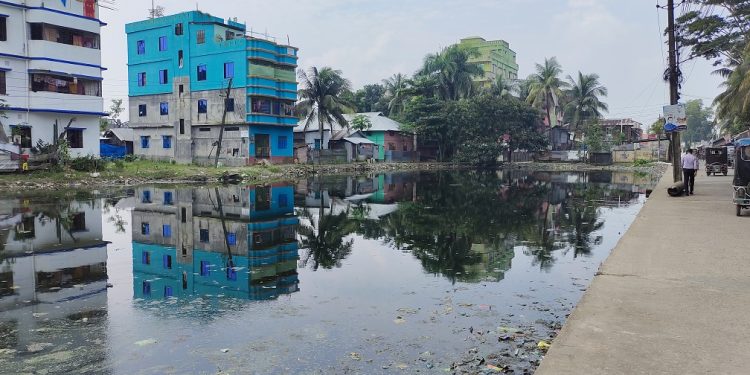 পরিস্কারের পর প্রাণ ফিরেছে পটুয়াখালী টিবি ক্লিনিক পুকুর