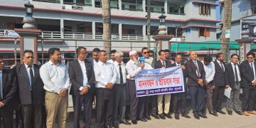 পটুয়াখালীতে বঙ্গবন্ধু আওয়ামী আইনজীবী পরিষদের মানববন্ধন