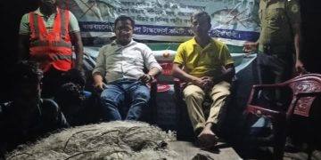 গলাচিপায় দুই জেলের কারাদন্ড