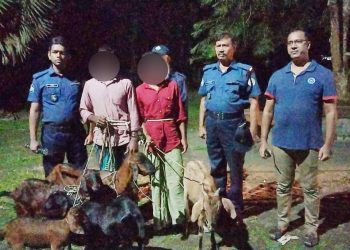 মির্জাগঞ্জে ৬টি চোরাই ছাগলসহ শ্যালক দুলাভাই গ্রেপ্তার