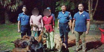 মির্জাগঞ্জে ৬টি চোরাই ছাগলসহ শ্যালক দুলাভাই গ্রেপ্তার