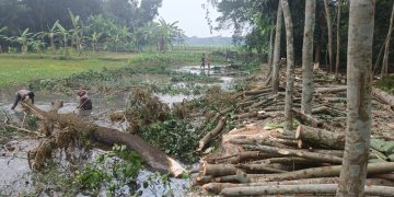 প্রকাশ্য দিবালোকে অন্যের জমির কর্তনের অভিযোগ