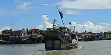 কাল বাজারে দেখা মিলবে ইলিশের