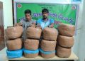 দুমকীতে ৪২ কেজি গাঁজাসহ দুই মাদক ব্যবসায়ী আটক
