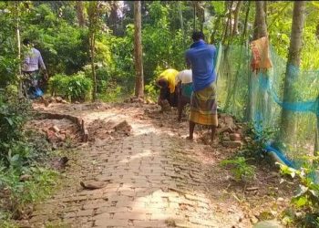 দুমকিতে সড়কের কাজ বন্ধের নির্দেশ