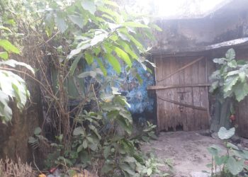 দশমিনায় বীজাগাড়ের ভবনের বেহাল দশা, জমি বেদখল