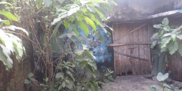 দশমিনায় বীজাগাড়ের ভবনের বেহাল দশা, জমি বেদখল