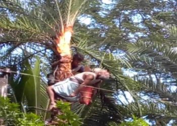 দুমকিতে বিদ্যুৎপৃষ্টে বৃদ্ধের মৃত্যু