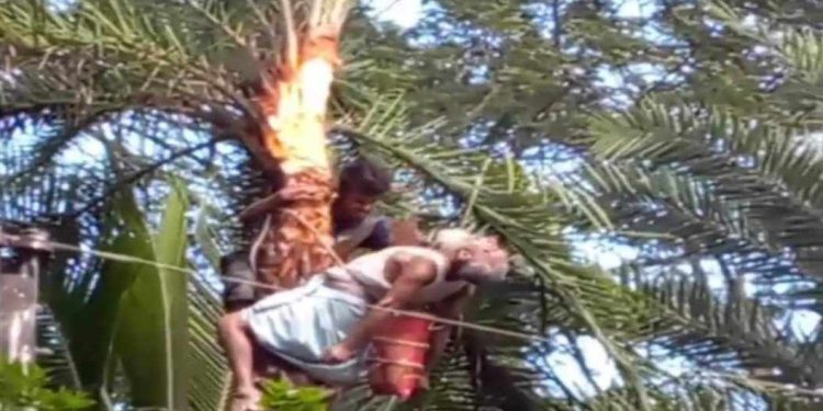 দুমকিতে বিদ্যুৎপৃষ্টে বৃদ্ধের মৃত্যু