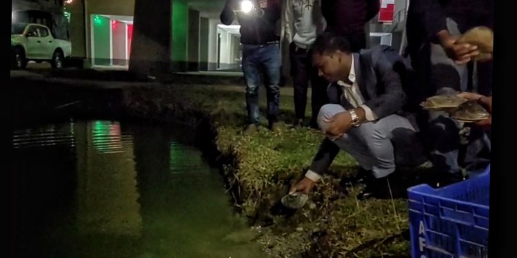 কলাপাড়ায় ২১টি সুন্ধী কাছিম উদ্ধারের পর অবমুক্ত