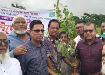 কলাপাড়ায় বৃক্ষরোপণ কর্মসূচির উদ্বোধন করলেন এমপি মোশাররফ হোসেন