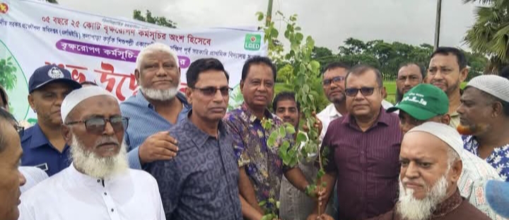কলাপাড়ায় বৃক্ষরোপণ কর্মসূচির উদ্বোধন করলেন এমপি মোশাররফ হোসেন