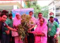 কলাপাড়ায় বৃক্ষরোপণ কর্মশালায় ২৬০ জনকে গাছের চারা প্রদান