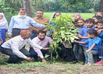 মির্জাগঞ্জে জাতীয় প্রাথমিক শিক্ষা পদক ও বৃক্ষরোপণ কর্মসূচির উদ্বোধন