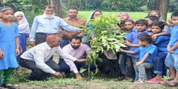 মির্জাগঞ্জে জাতীয় প্রাথমিক শিক্ষা পদক ও বৃক্ষরোপণ কর্মসূচির উদ্বোধন