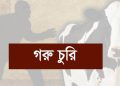 পটুয়াখালীতে গোয়ালঘরের তালা কেটে চারটি গরু চুরি