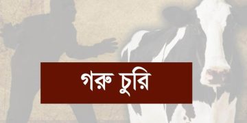 পটুয়াখালীতে গোয়ালঘরের তালা কেটে চারটি গরু চুরি