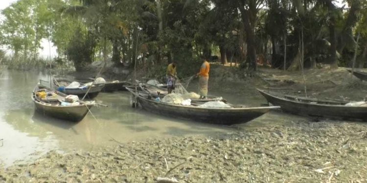ভরা মৌসুমেও পায়রা-লোহালিয়ায় ইলিশের আকাল, জেলে পরিবারে হাহাকার