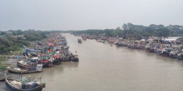 কলাপাড়ায় বৈরী আবহাওয়া ও অবৈধ ট্রলিংয়ের দৌরাত্ম্যে বিপর্যস্ত মৎস্যখাত