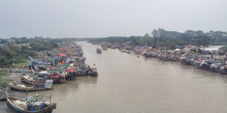 কলাপাড়ায় বৈরী আবহাওয়া ও অবৈধ ট্রলিংয়ের দৌরাত্ম্যে বিপর্যস্ত মৎস্যখাত