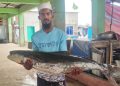 বঙ্গোপসাগরে জেলের জালে ধরা পড়ল ২০ কেজির ‘সামুদ্রিক শোল’, ১৪ হাজারে বিক্রি