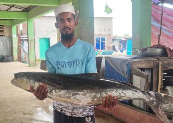 বঙ্গোপসাগরে জেলের জালে ধরা পড়ল ২০ কেজির ‘সামুদ্রিক শোল’,  ১৪ হাজারে বিক্রি