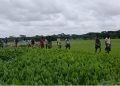 বরগুনায় দখল-দূষণে অস্তিত্ব সংকটে আমখোলা খাল
