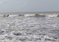 উত্তর-পশ্চিম বঙ্গোপসাগরে লঘুচাপ, পায়রা সমুদ্র বন্দরে ৩ নম্বর সতর্ক সংকেত