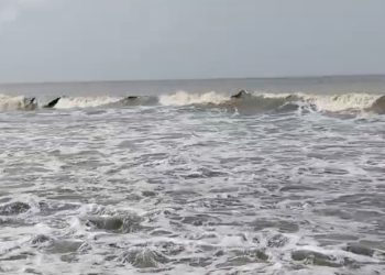 উত্তর-পশ্চিম বঙ্গোপসাগরে লঘুচাপ, পায়রা সমুদ্র বন্দরে ৩ নম্বর সতর্ক সংকেত