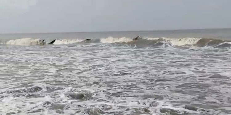 উত্তর-পশ্চিম বঙ্গোপসাগরে লঘুচাপ, পায়রা সমুদ্র বন্দরে ৩ নম্বর সতর্ক সংকেত