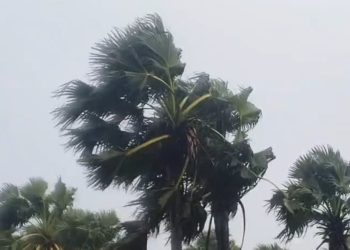 পটুয়াখালীসহ ১৯ অঞ্চলে রাতের মধ্যে ঝড়ের সম্ভাবনা