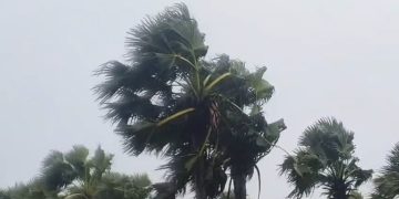 পটুয়াখালীসহ ১৭ জেলায় ৬০ কিমি বেগে ঝড়ের পূর্বাভাস