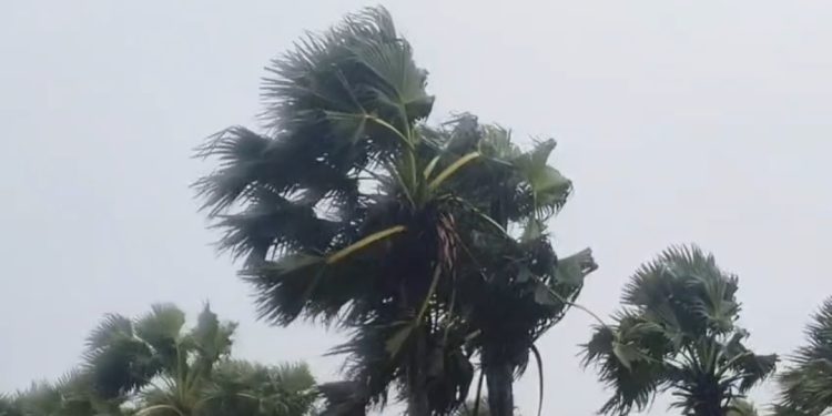 পটুয়াখালীসহ ১৭ জেলায় ৬০ কিমি বেগে ঝড়ের পূর্বাভাস