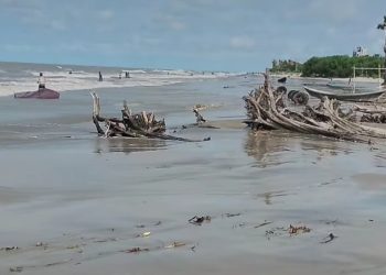 ভাঙ্গন ও অব্যবস্থাপনায় সাগরকন্যা কুয়াকাটার সৌন্দর্য বিলিনের পথে