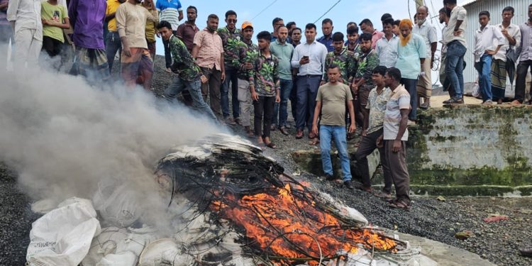 কলাপাড়ায় ১ হাজার পিস নিষিদ্ধ চায়না দুয়ারী জাল জব্দ, পুড়িয়ে ধ্বংস