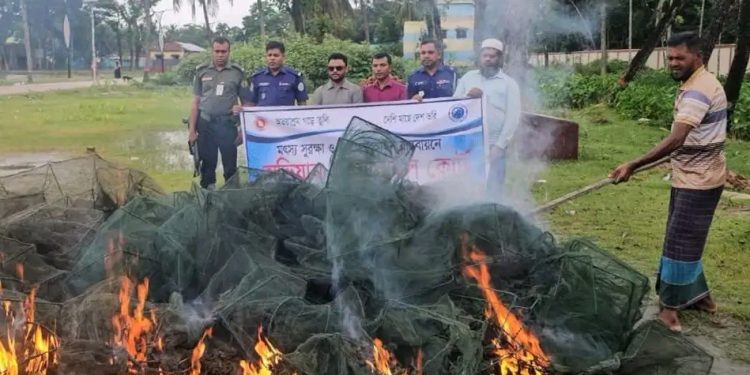 গলাচিপায় যৌথ অভিযানে ৩০টি নিষিদ্ধ চায়না দুয়ারী জাল জব্দ, আগুনে পুড়িয়ে ধ্বংস