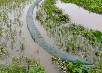 দশমিনায় চায়না দুয়ারী জালের অবাধ ব্যবহারে সংকটে দেশীয় মৎস্যসম্পদ
