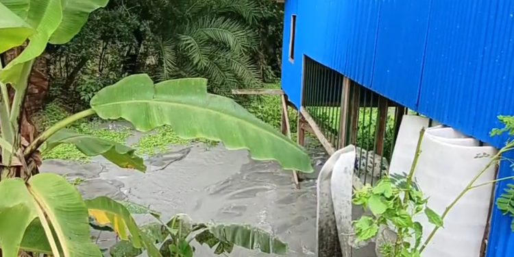 কলাপাড়ায় যুবদল নেতা গাজী সুমনের উদ্যোগে মসজিদের সংস্কার ও বালু ভরাটের কাজ শুরু