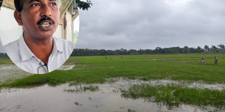 কলাপাড়ায় কৃষি জমির চাষাবাদ বন্ধ করে ৭ লাখ টাকা চাঁদা দাবির অভিযোগ