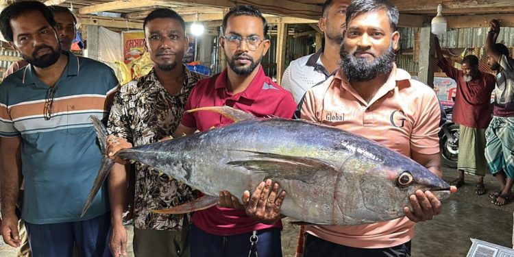 কুয়াকাটার বঙ্গোপসাগরে জেলের জালে মিলল ২৯ কেজির বিরল ‘ইয়েলোফিন টুনা’