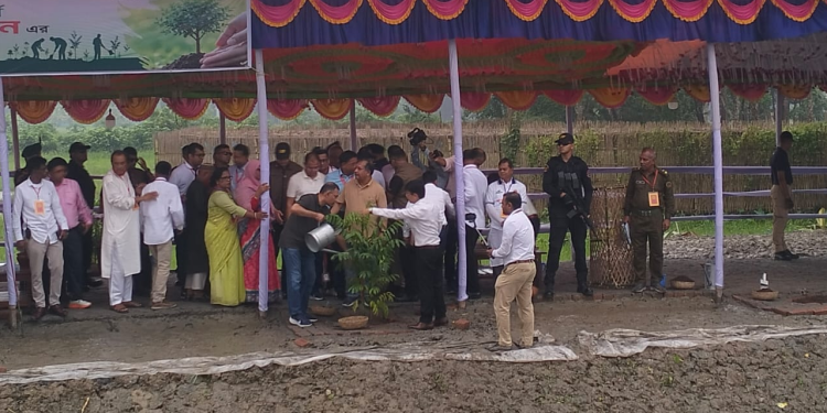 গৌরনদীতে বৃক্ষরোপণ করলেন প্রধানমন্ত্রী