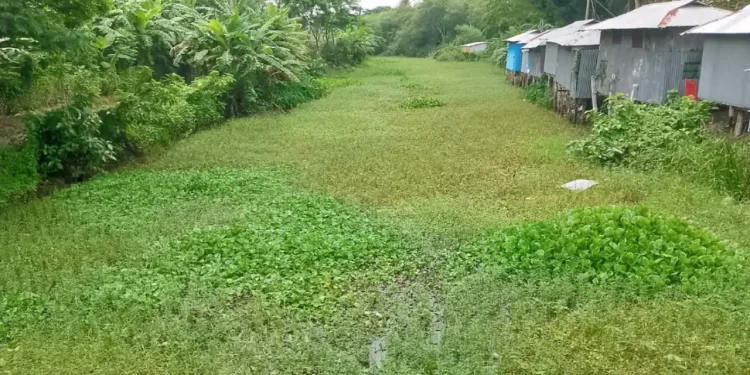 অস্তিত্ব সংকটে রাঙ্গাবালীর কাটাখালী খাল, স্লুইসগেট নির্মাণের দাবি