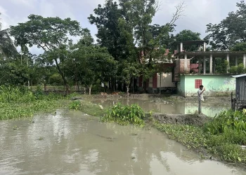 কারখানা নদীর গ্রাসে বিলীনের পথে বাউফলের তিন প্রাথমিক বিদ্যালয়