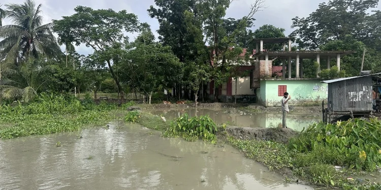 কারখানা নদীর গ্রাসে বিলীনের পথে বাউফলের তিন প্রাথমিক বিদ্যালয়
