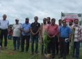 পটুয়াখালীতে চেম্বার অব কমার্সের উদ্যোগে নারিকেল গাছ রোপণ