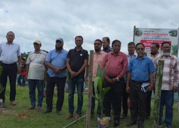 পটুয়াখালীতে চেম্বার অব কমার্সের উদ্যোগে নারিকেল গাছ রোপণ