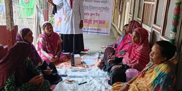 বাউফলে হাঁস-মুরগির স্বাস্থ্য সুরক্ষায় ক্যাম্পেইন